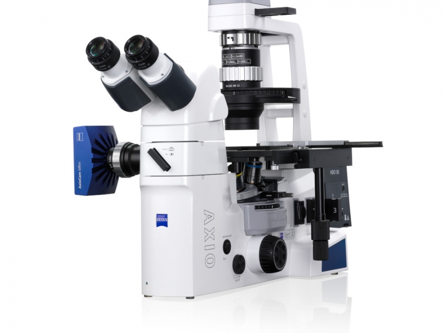 Digitalización del portaobjetos usando un microscopio manual y una cámara  digital